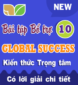 Bài tập Bổ trợ Tiếng Anh 10 Global success